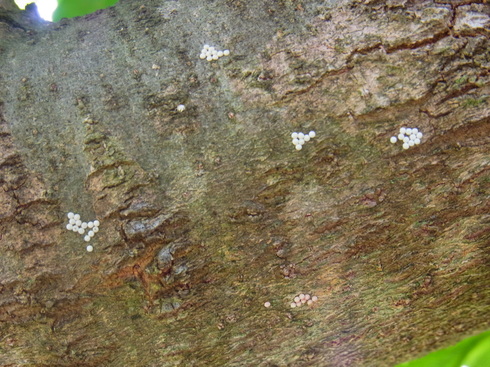 d0251807_1991719.jpg