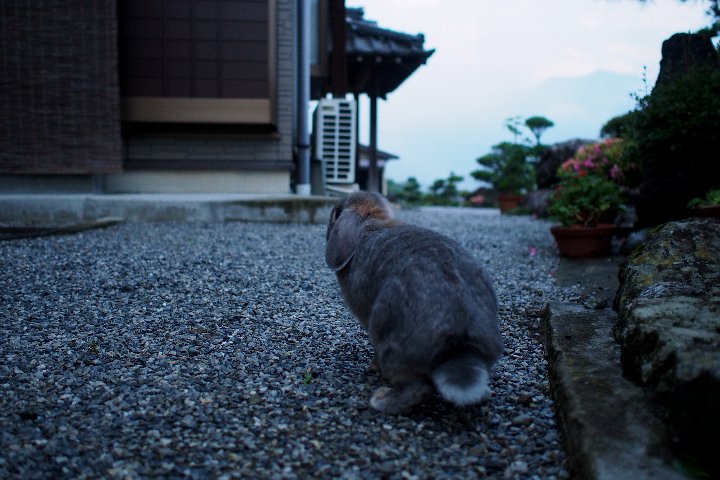a0268412_22351989.jpg