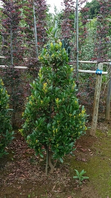 f0329515_22145734.jpg