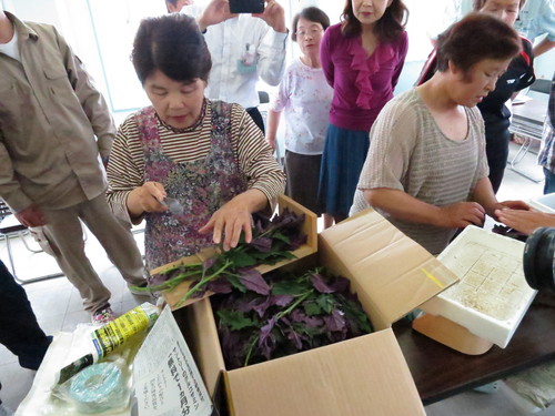 「伊達むらさき」の目揃い会及び試食会開催!_e0102418_17451419.jpg