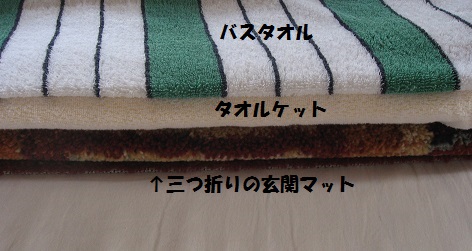 玄関マットで枕 よくばりもっちっちの公開日記