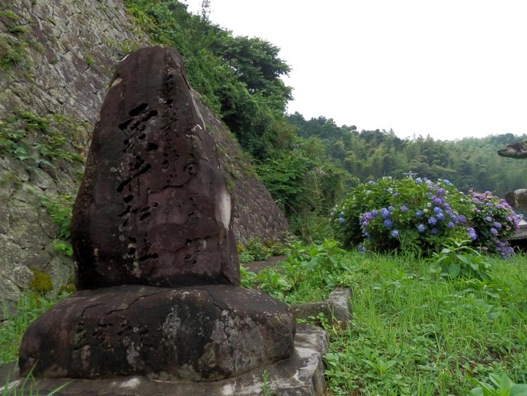 散歩部活動報告 「紫陽花のある風景　２０１４」_e0142619_199147.jpg