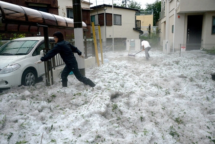 今日、三鷹や調布で雹が積もったんだって！　ひょ～！！！_c0145920_22335719.jpg