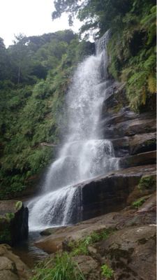 f0147821_23511164.jpg