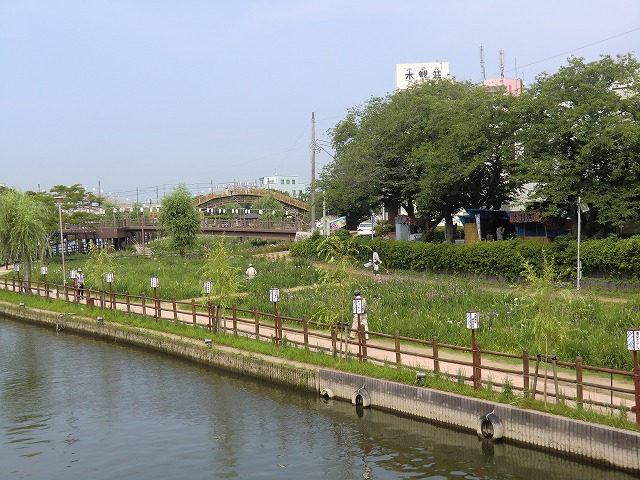 a0006033_8325158.jpg
