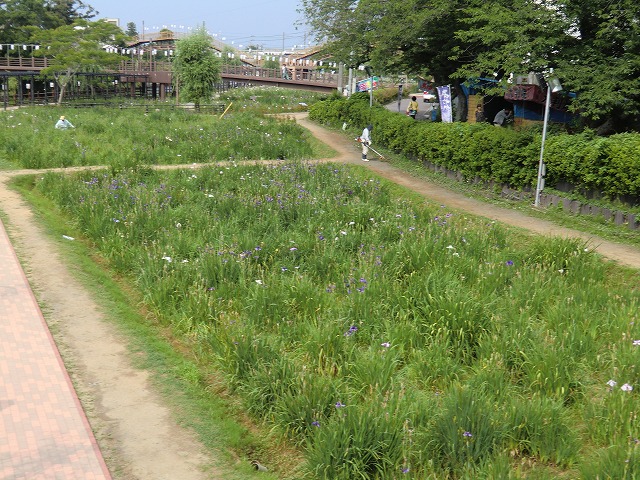 a0006033_833137.jpg
