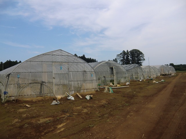 a0006033_836108.jpg