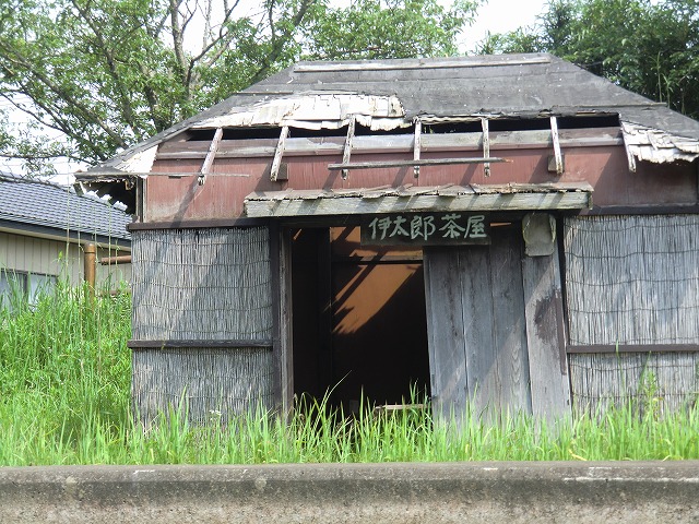 a0006033_8422194.jpg