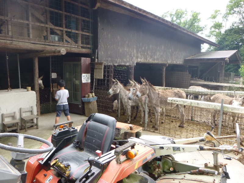 土砂降りサイクリング_c0113733_1161210.jpg