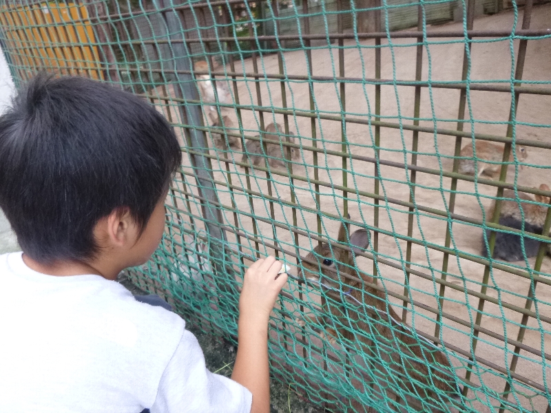 土砂降りサイクリング_c0113733_1163348.jpg