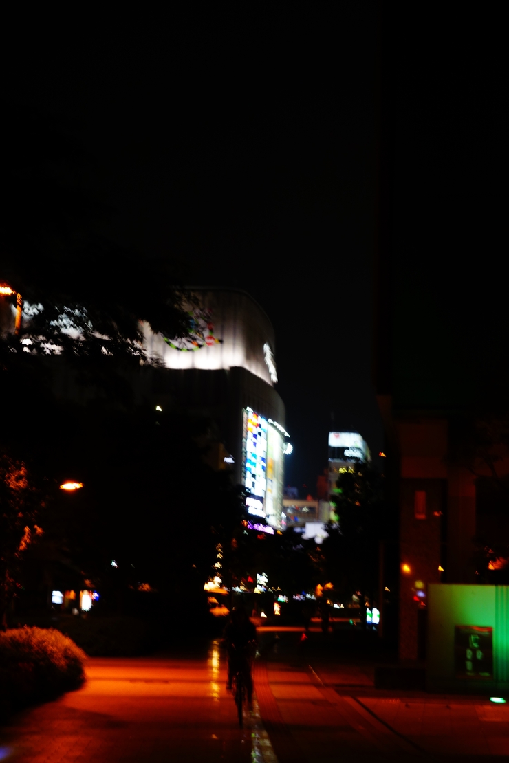 a0287336_170563.jpg
