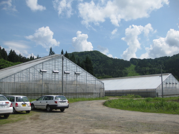 f0329538_19324661.jpg
