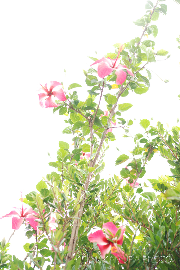 f0229844_2234549.jpg