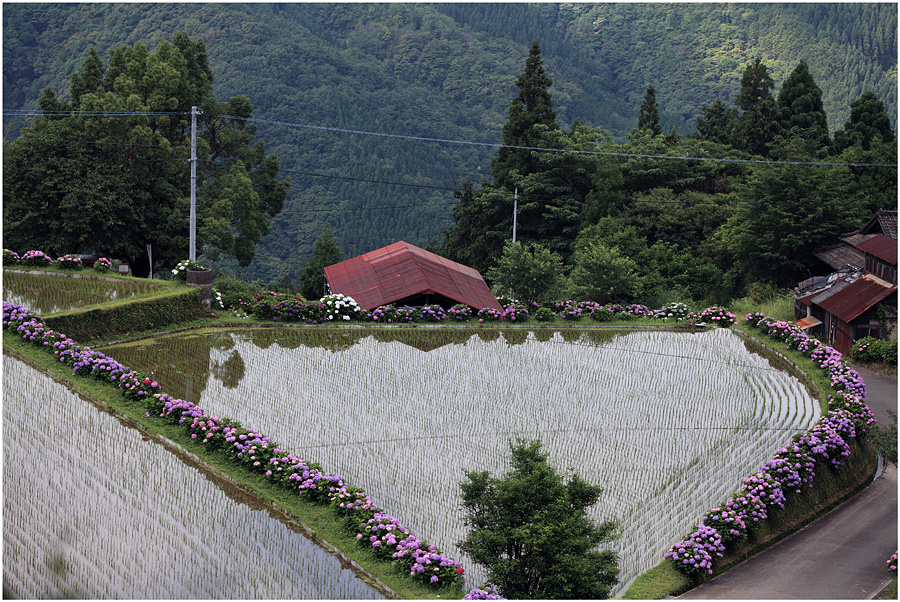 梅雨の晴れ間_d0246546_20413634.jpg