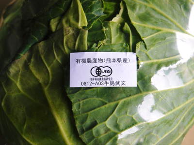 a0254656_19221566.jpg