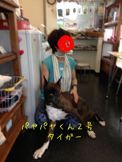 f0177261_15595863.jpg