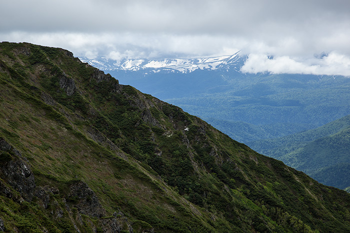 f0054366_18360421.jpg