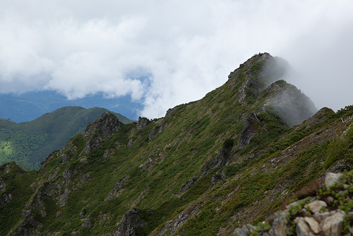 f0054366_18362271.jpg