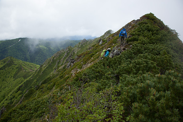 f0054366_20415488.jpg
