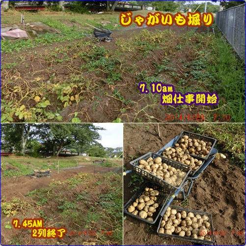 野菜でコミニケーション　②Glary　Utilitiesに再度挑戦_d0007071_5173733.jpg