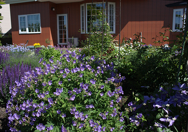 f0101174_12023841.gif