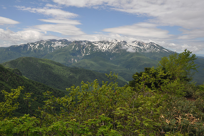 f0109977_20550092.jpg