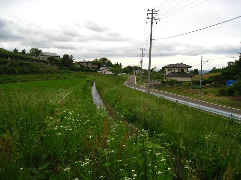 a0087378_836416.jpg