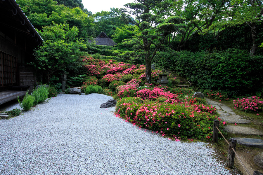 サツキの庭！　～金福寺～_b0128581_2141120.jpg