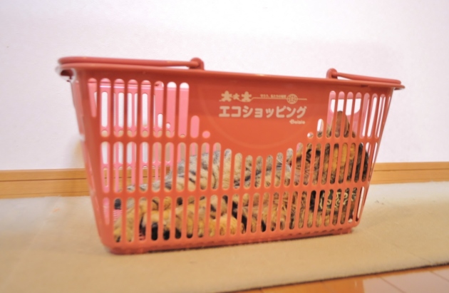 いつも通り_a0126590_21484687.jpg