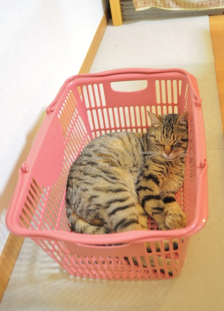 いつも通り_a0126590_21491945.jpg