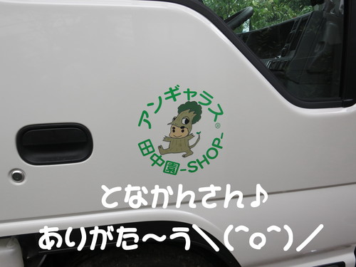 再び和歌山！_b0200291_1912381.jpg