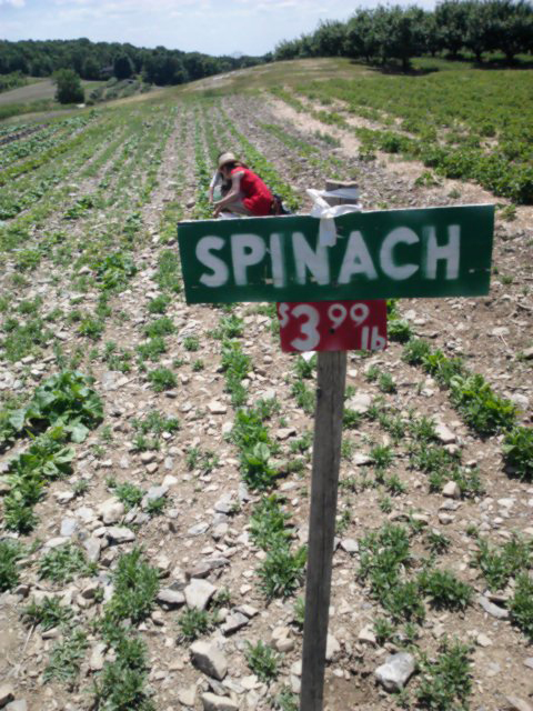 e0161692_2194712.jpg