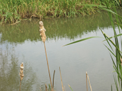 a0118993_13241477.jpg
