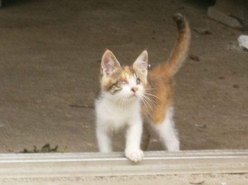 d0000995_18324810.jpg
