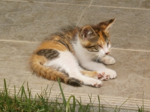 d0000995_18411735.jpg