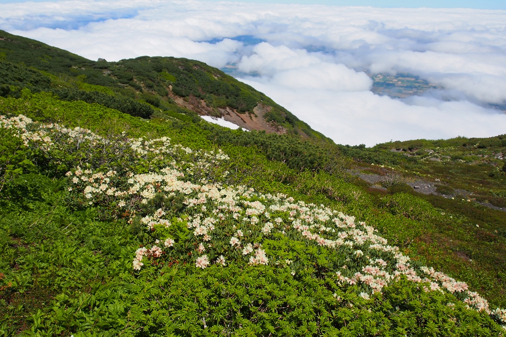 羊蹄山、6月23日_f0138096_16532663.jpg