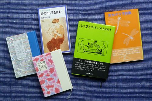 ６月の遠足 茨木 のり子展 くまとサボテン