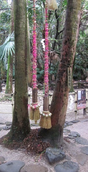 夏におススメの神社♪　　青島神社　　　～宮崎市～_b0228113_17062937.jpg