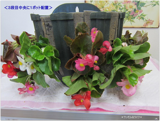 * 6月のガーデニング教室 *_d0317115_2156547.jpg