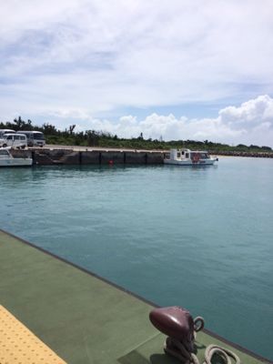 f0147821_23434630.jpg