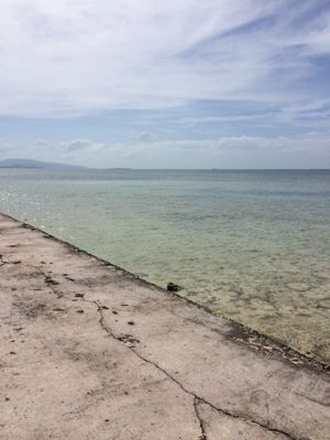 f0147821_23435677.jpg