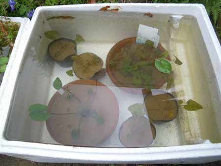 e0097534_12755.jpg
