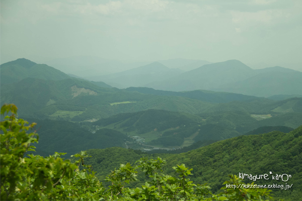 やまあじさいの咲く道へ**伊良谷山～毛無山_b0197639_15115049.jpg