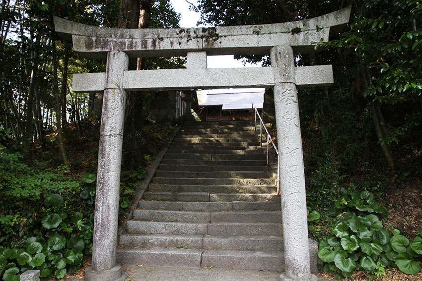 2014年　奥出雲の旅-13♪　斐伊神社♪_d0058941_20465638.jpg