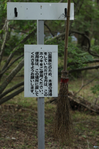 上三川 磯川緑地公園でアジサイ撮影会_e0227942_23084691.jpg