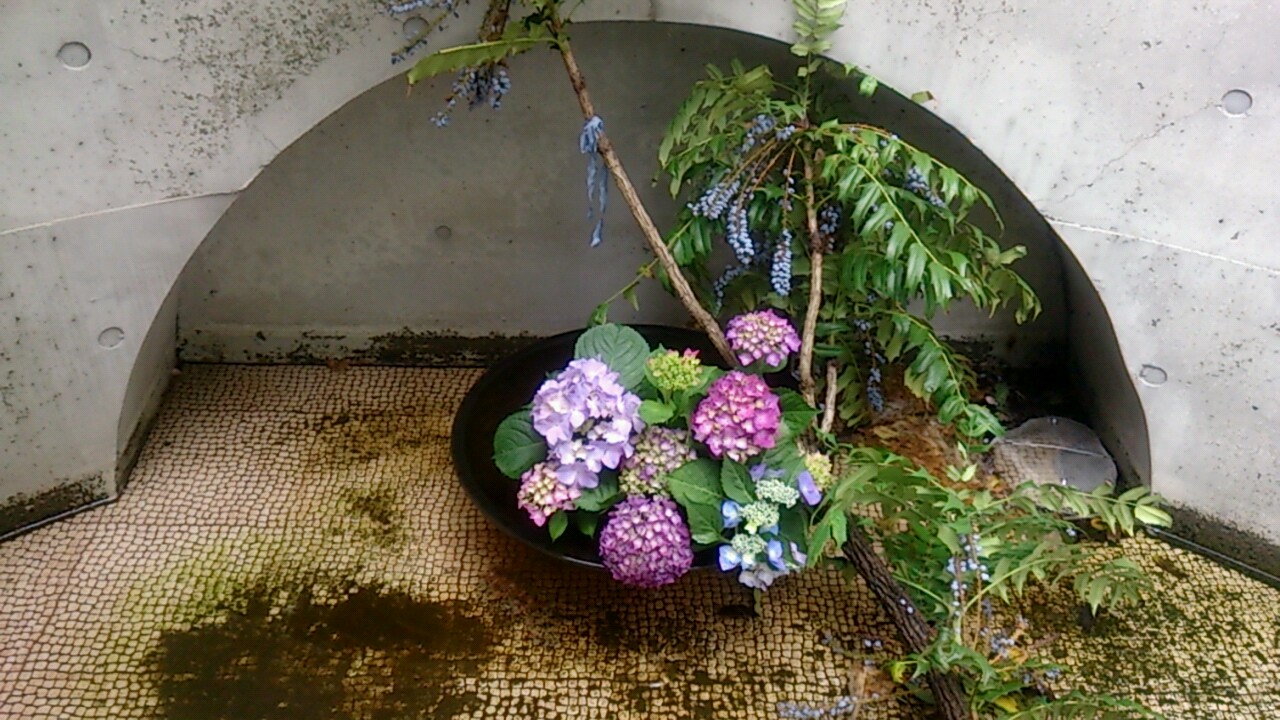 e0125044_1744503.jpg