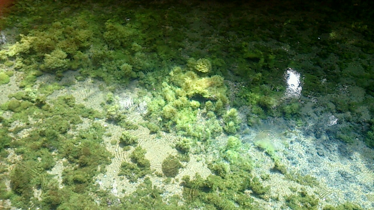 e0125044_17445060.jpg