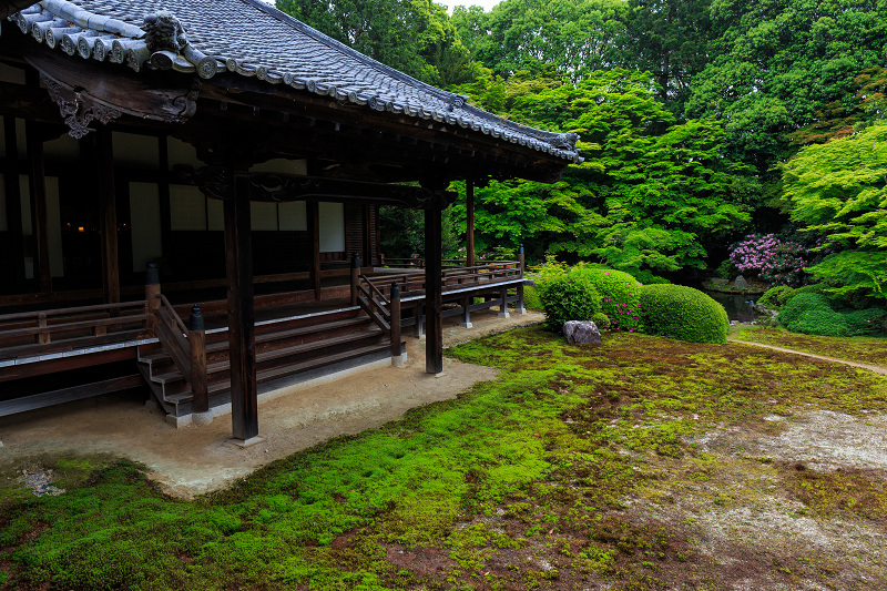 ツツジ科の花々咲き乱れる隨心院_f0155048_2159752.jpg
