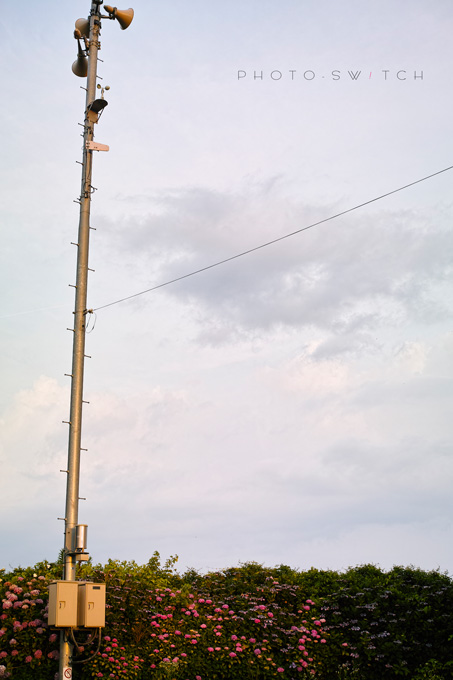 c0156854_22435978.jpg