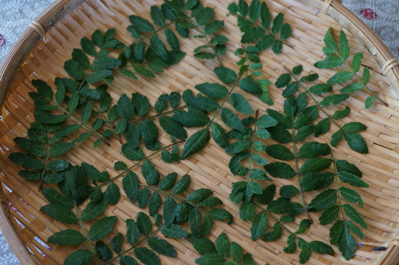 なんちゃって木の芽塩 カリフォルニアよりひらめきレシピと日々のあれこれ